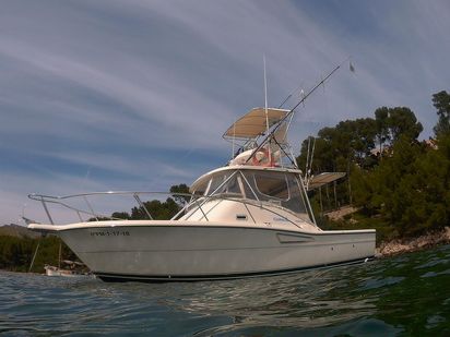 Barco a motor Pursuit Offshore 3000 · 2004 (reacondicionamiento 2014) · Deep Sea Fishing 7 hours (0)
