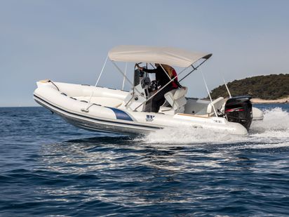 Gommone Tiger Marine 550 ProLine · 2018 · TIGER MARINE 550 (1)