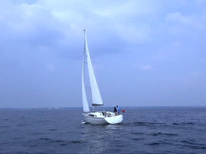 Voilier Bavaria Cruiser 34 · 2019 (0)