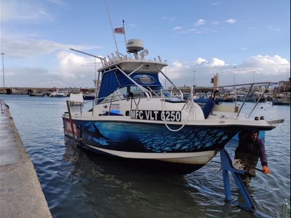 Bateau à moteur Bayliner Trophy · 2000 · Baby Christina (1)