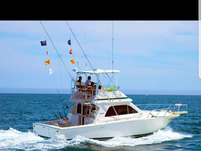 Motorboot Bertram 42 · 1995 (Umbau 2021) · Royal charters mallorca (0)