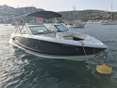 Speedboat Cobalt A25 · 2014 (refit 2019) · Jade (1)