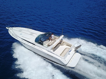 Motorboot Sea Ray 450 Sundancer · 1996 (0)