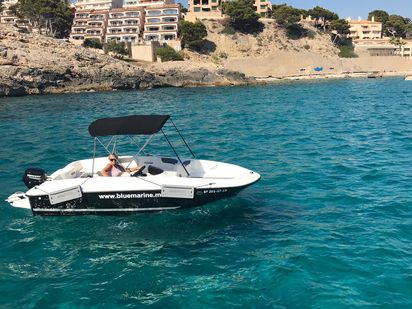 Bateau à moteur Bayliner Element E5 · 2019 · blaumari tres (0)