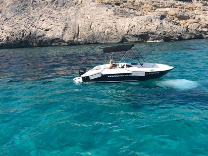 Motorboot Bayliner Element E5 · 2019 · blaumari tres (1)