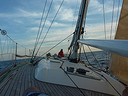 Sailboat Dufour 44 · 2007 · Dufour 44 (1)