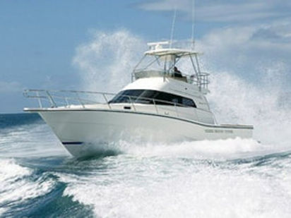 Motorboat Rodman 12.50 · 2002 · Rodaman 12.5 (1)