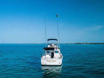 Motorboat Bertram 31 · 1976 (refit 2014) · Sitting Pretty (0)