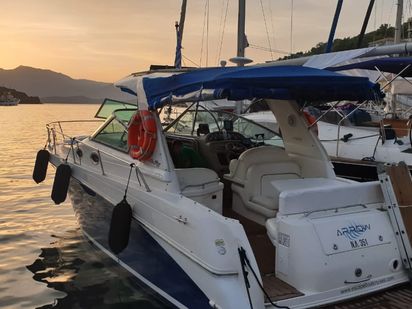 Bateau à moteur Sea Ray 290 Sundancer · 2001 (réarmé 2016) · Sea Ray 290 Sundancer (1)