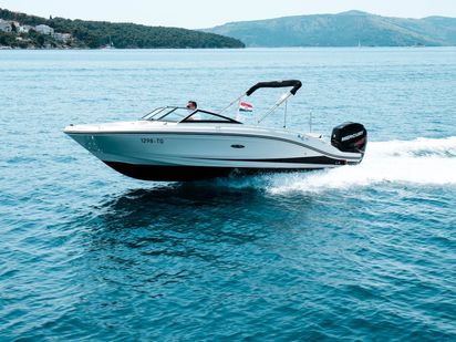 Lancha motora Sea Ray 21 SPX · 2019 · Sea Ray SPX 210 OB (0)