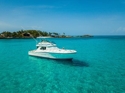 Bateau à moteur Chris-Craft 48 · 1976 (0)