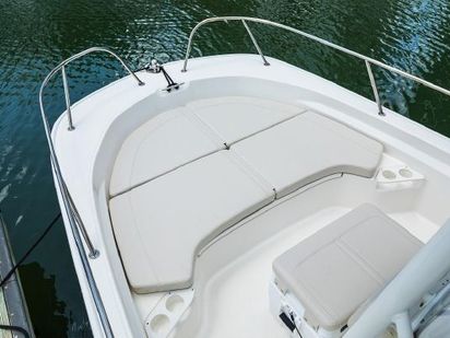 Speedboot Boston Whaler Montauk 190 · 2019 · Paradise (1)