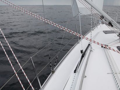 Zeilboot Bavaria 34 · 2018 · Flow (1)