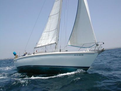 Zeilboot Catalina 36 · 2010 · Wiley (0)