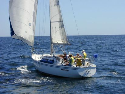 Segelboot Catalina 36 · 2010 · Wiley (1)