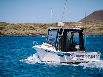 Barco a motor Luhrs 25 Open Tournament · 1997 · WHITE TUNA (1)