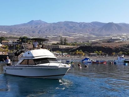 Motorboot Bertram 28 Flybridge · 1996 (refit 2018) · Sea Passion (1)