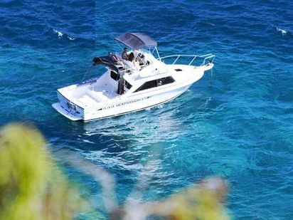 Barco a motor Bertram 28 Flybridge · 1996 (reacondicionamiento 2018) · Sea Passion (0)