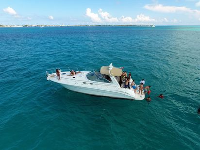 Bateau à moteur Sea Ray 400 Sundancer · 2006 · 41 Searay Motor Yacht (0)