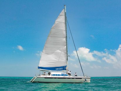 Catamarán Custom Built · 2015 · Luv Cat (1)