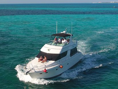 Bateau à moteur Carver Yachts 55 · 2007 (0)