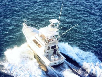 Motorboat Hatteras 41 · 1986 · Top Gun (1)