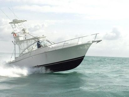 Motorboat Luhrs 32 · 2000 · Luhrs 33 (0)