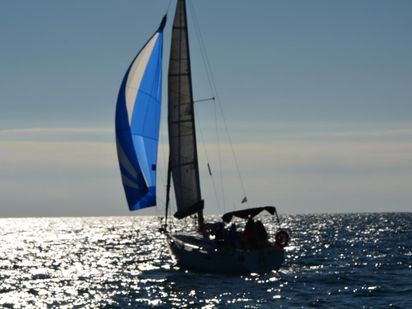 Velero Beneteau Oceanis 320 · 1989 (reacondicionamiento 2017) · Cassandra (1)