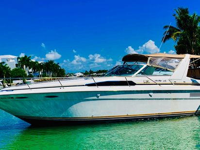 Motorboot Sea Ray 40 · 1999 · La Princesa (1)