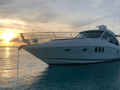 Bateau à moteur Sea Ray Sundancer 48 · 2005 · 48' Searay Sundancer (1)