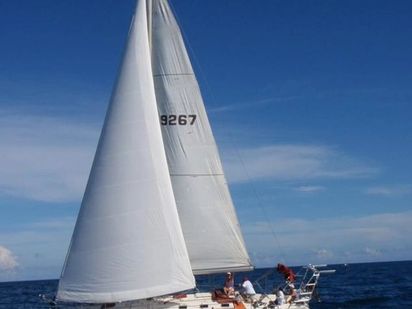 Sailboat Jeanneau Sun Fizz · 1996 · Wind Pirate (0)