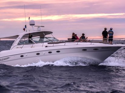 Motorboat Sea Ray 460 · 2001 (refit 2019) · Pro (Morning) (0)