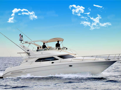 Motorboat Sea Ray 450 Bridge · 2004 (0)