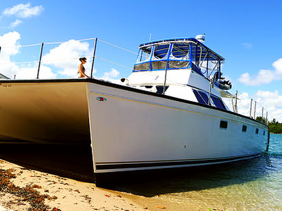 Motor Catamaran Custom Built · 2003 (refit 2013) · The Cat's Meow (0)