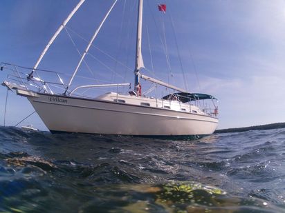 Segelboot Island Packet 370 · 2008 · Pelican (1)