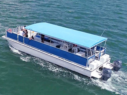 Motor Catamaran Custom Built · 2001 (0)