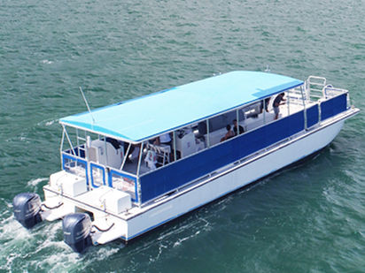 Motorcatamaran Custom Built · 2001 (0)