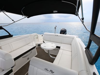 Motoscafo Sea Ray 280 Sundeck · 2018 (refit 2019) · Sea Ray 28 (0)