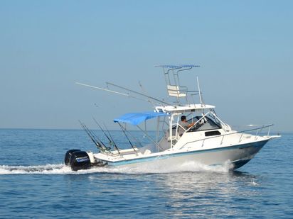 Barco a motor Custom Built · 1980 · Super Panga (0)