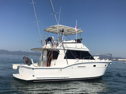 Motorboat Hatteras 42 · 1980 · Hatteras 42 (0)