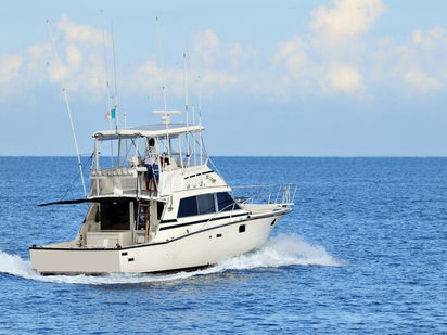 Motorboat Bertram 38 · 1985 · Bertram 38 - Fishing Yacht (1)