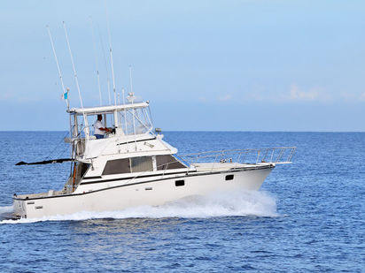 Motorboot Bertram 38 · 1985 · Bertram 38 - Fishing Yacht (0)