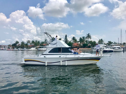 Motorboat Bertram 38 · 1990 · Bertram 38 - Fishing Boat (1)