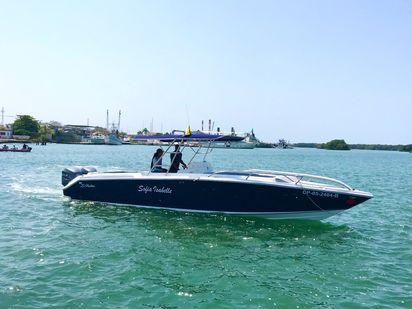 Barco a motor Platinum 32 · 2010 (0)