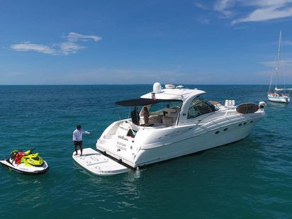 Bateau à moteur Sea Ray 525 · 2011 · SeaRay 51 (1)