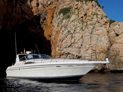 Bateau à moteur Sea Ray 400 Sundancer · 1991 (réarmé 2014) · Endurance 4h (1)