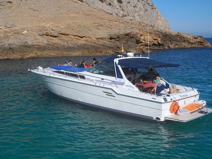 Motorboot Sea Ray 460 · 1992 (refit 2015) · Perseo 7 hours (1)