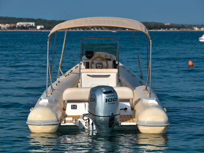 Bateau semi-rigide Tiger Marine 550 ProLine · 2018 · PRO LINE (0)