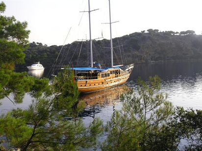 Goleta Ketch Neta · 2006 · Grand Acar (0)