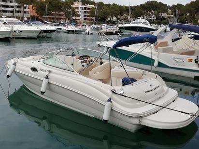 Lancha motora Sea Ray 240 SD · 2001 (reacondicionamiento 2021) · HAJA ONE (1)